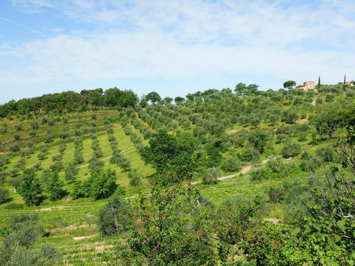 Holiday Home Poggio Velluto By Interhome Seggiano Екстериор снимка